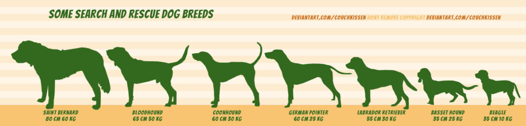 Dog Breeds